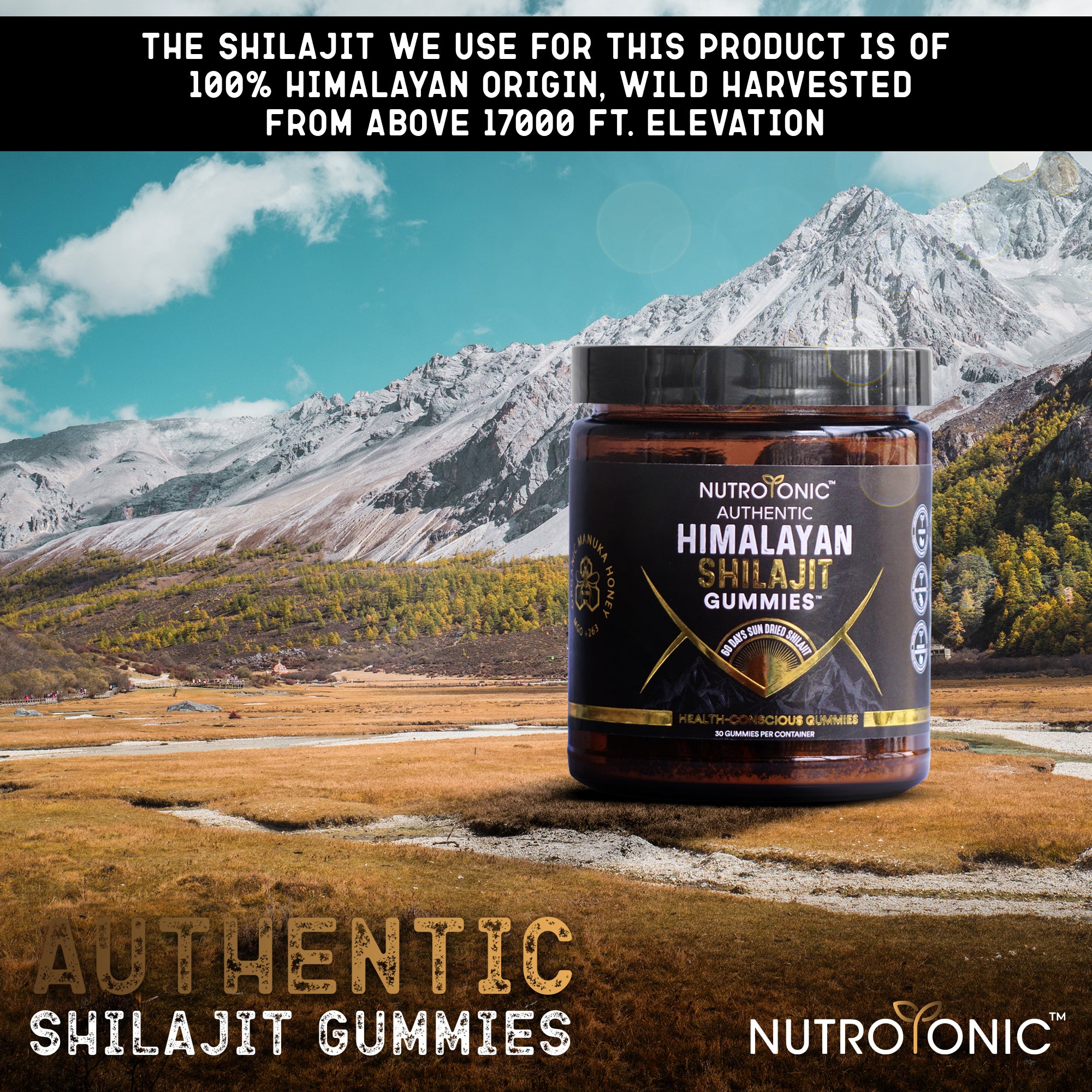 gummies shilajit