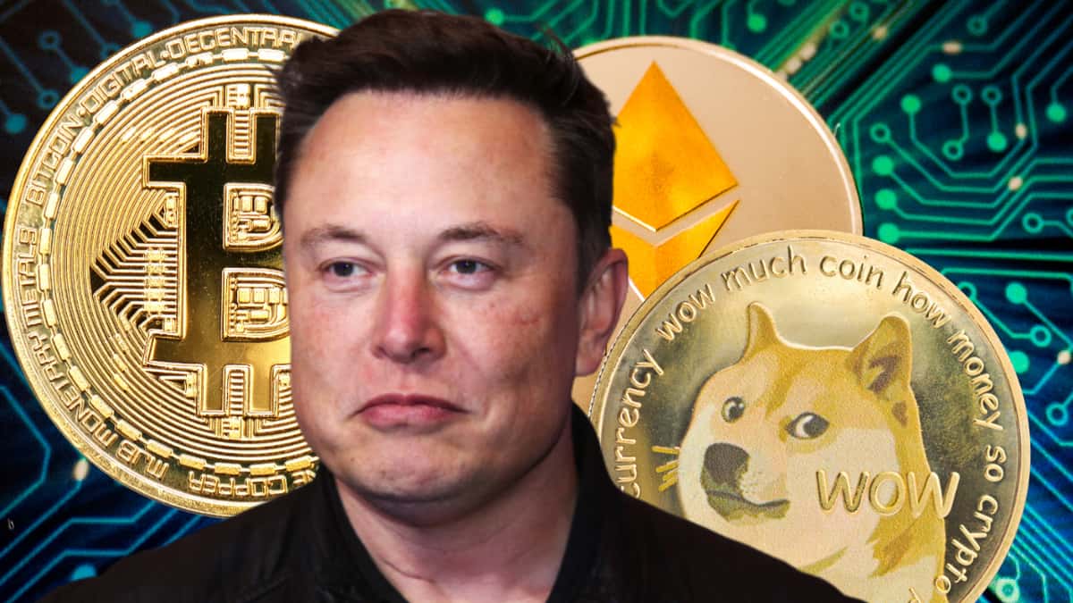 elon musk crypto coin