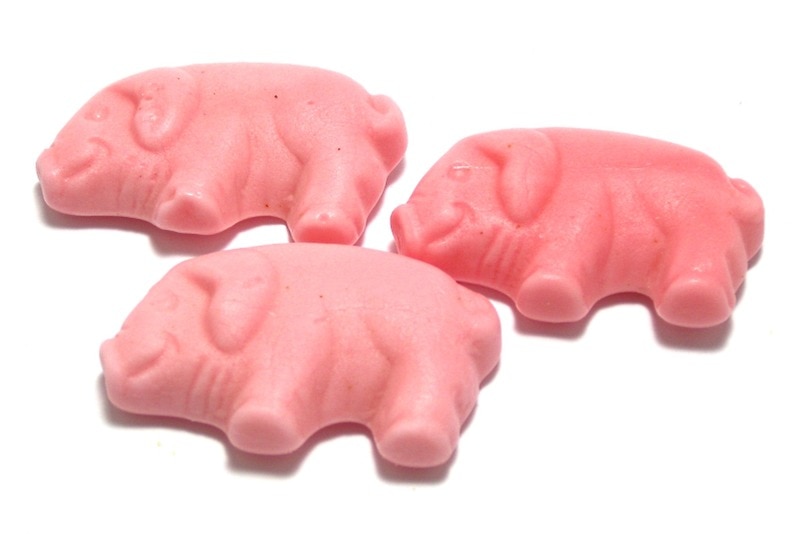 gummy pigs