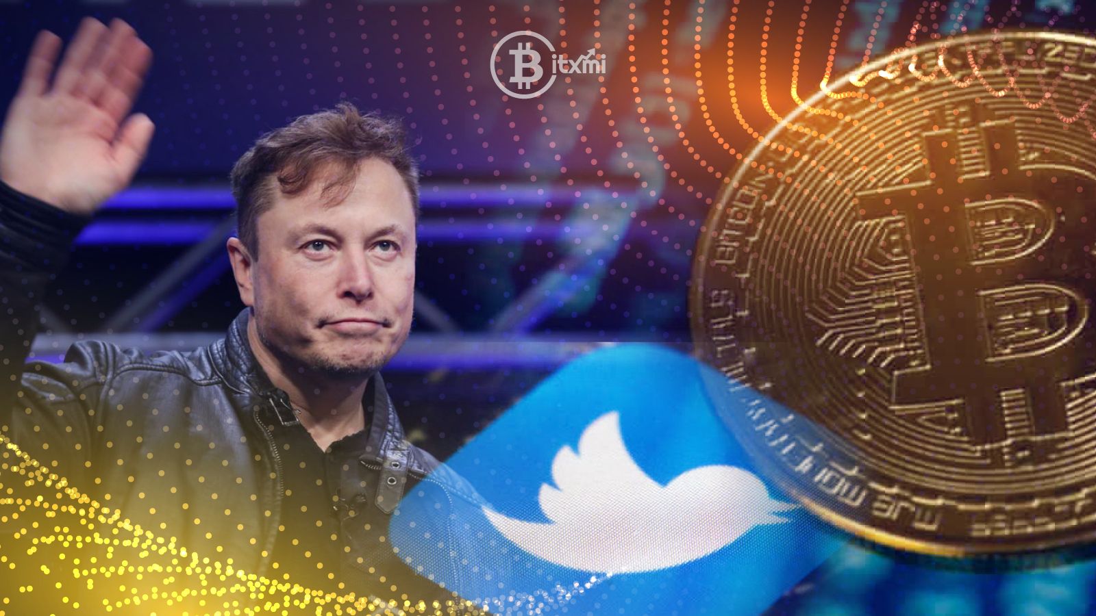 elon musk crypto currency