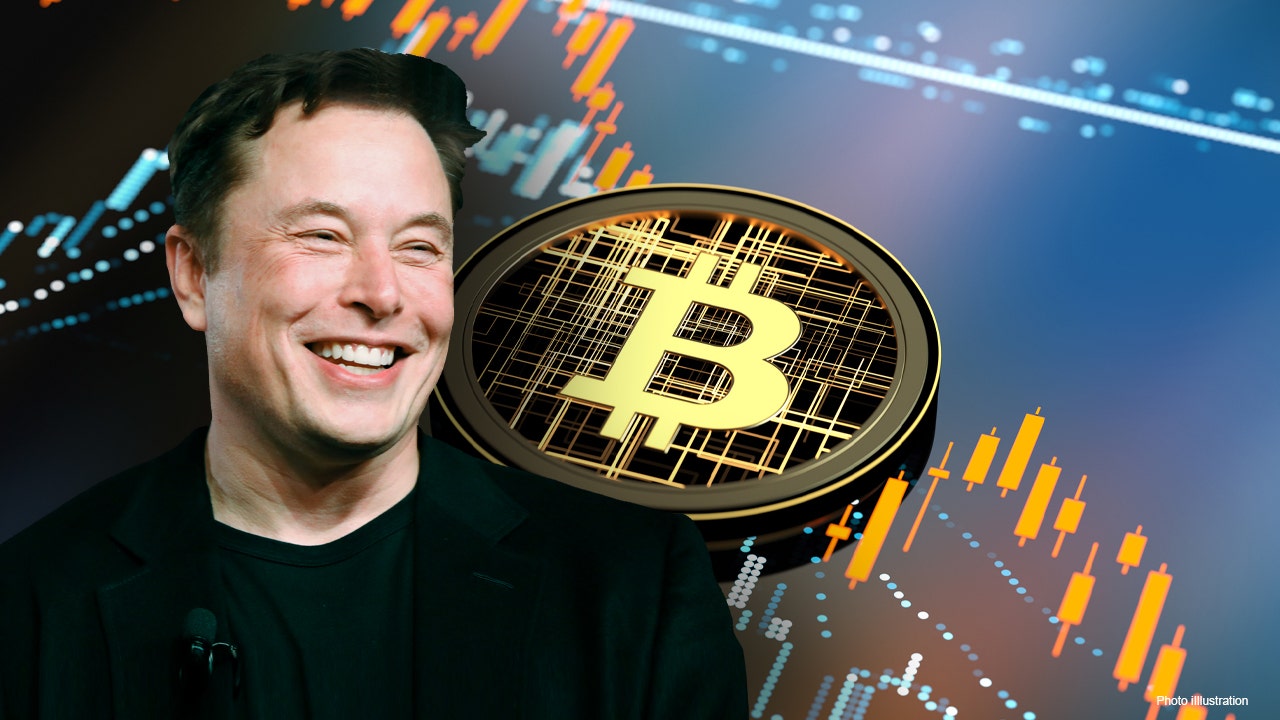 elon musk crypto coin