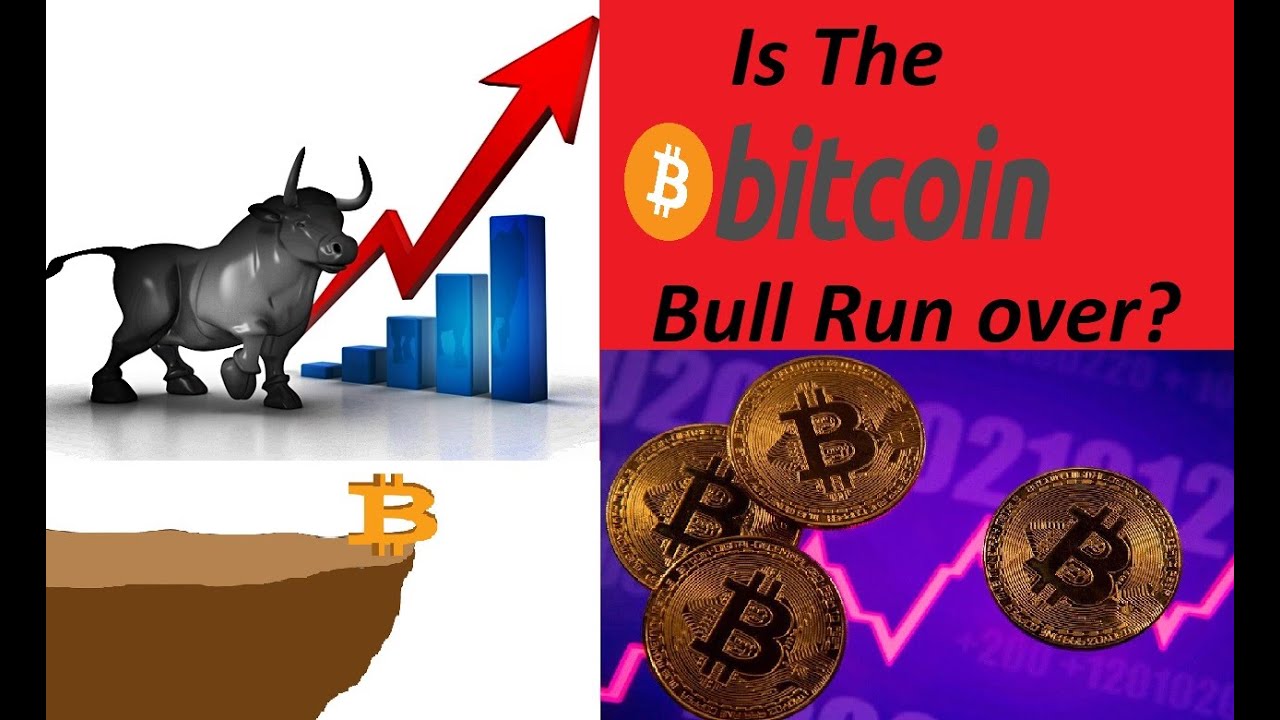 crypto bull run