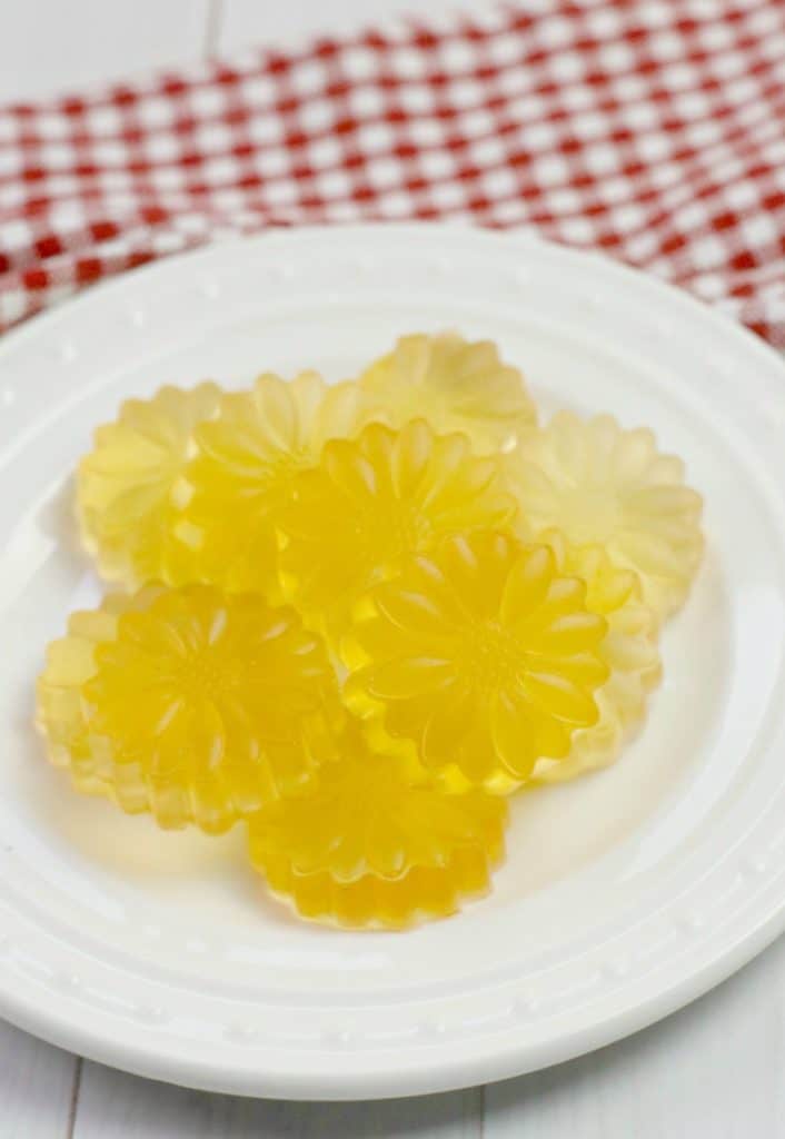 Low-carb apple cider vinegar gummies