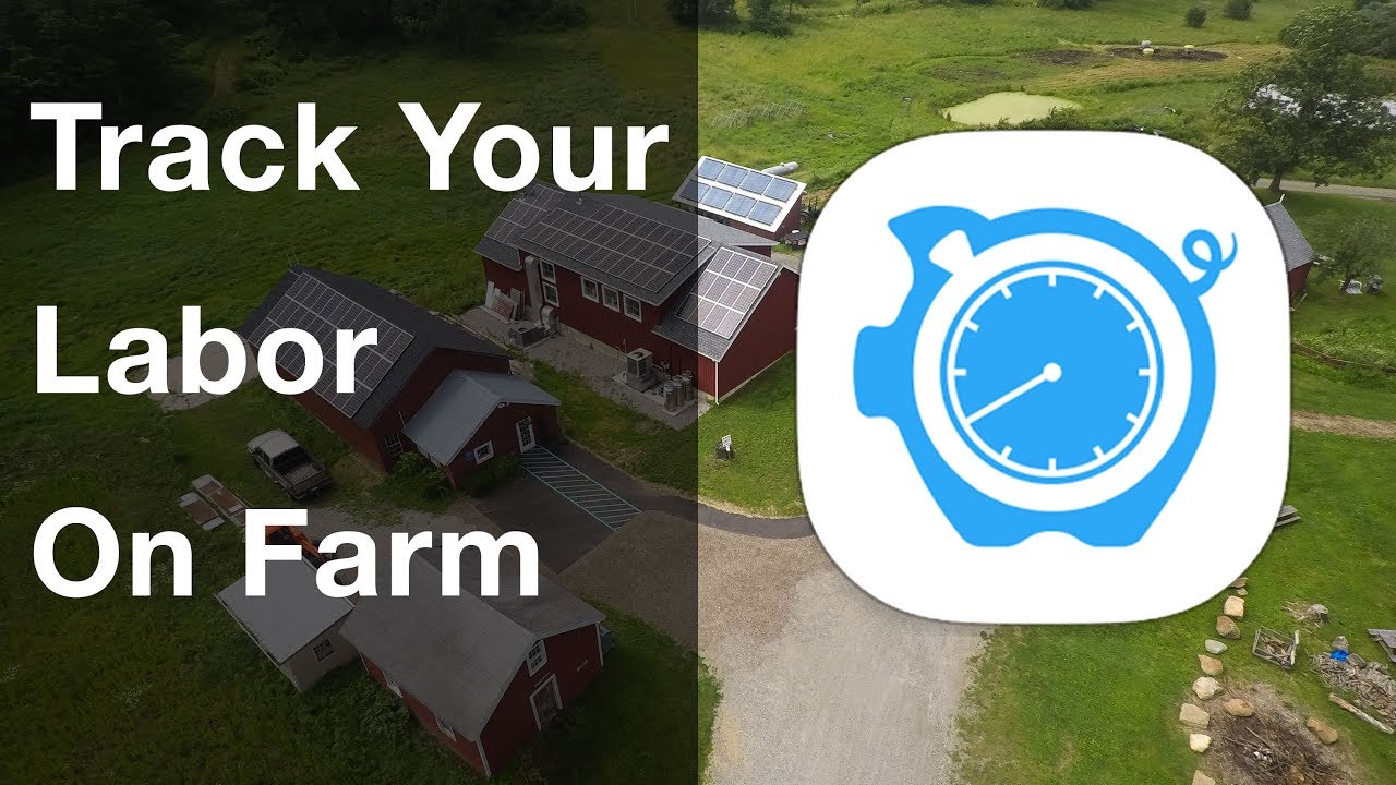 time farm answer for today