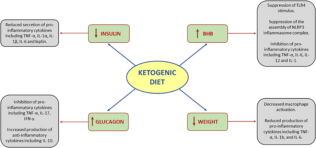 keto diet effect on dystonia