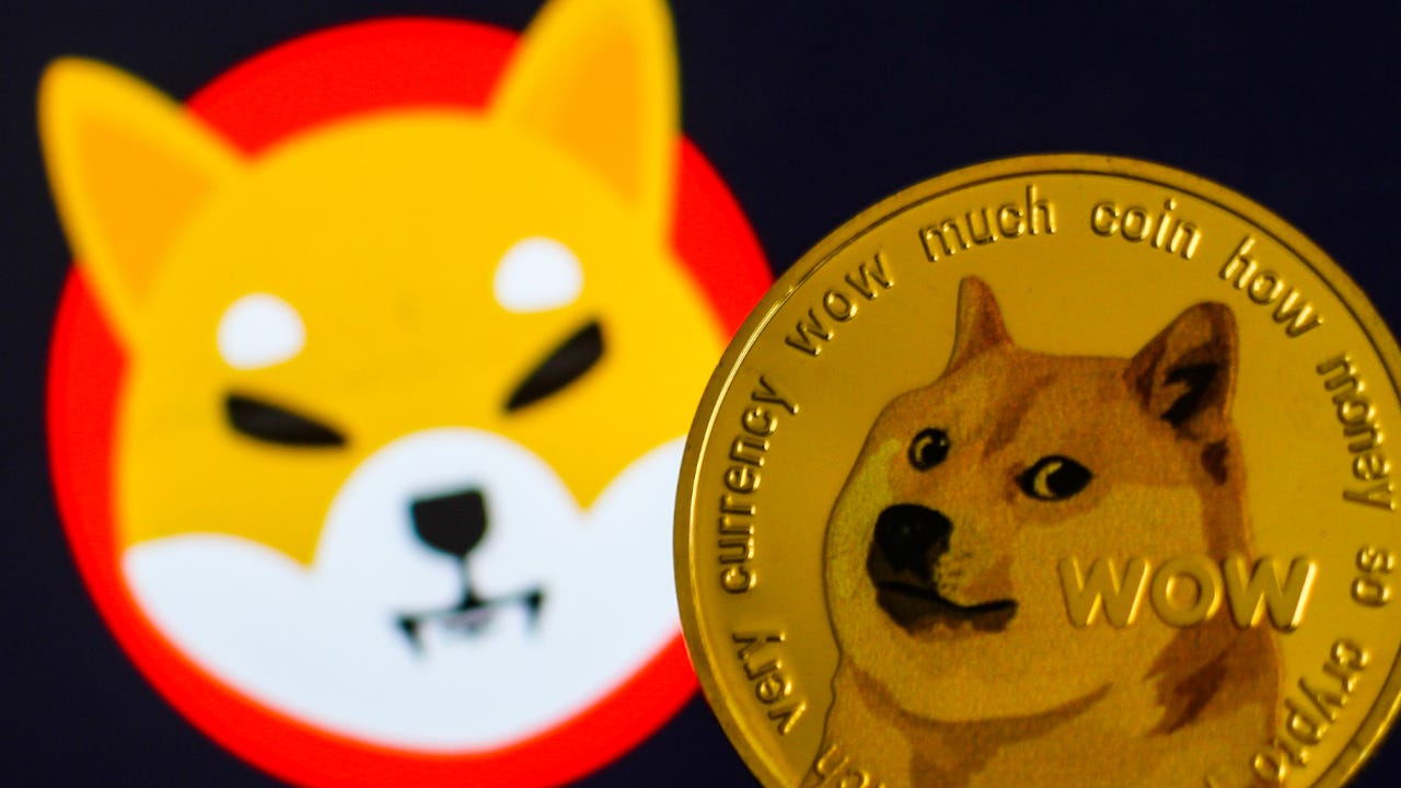 shiba inu crypto dogecoin