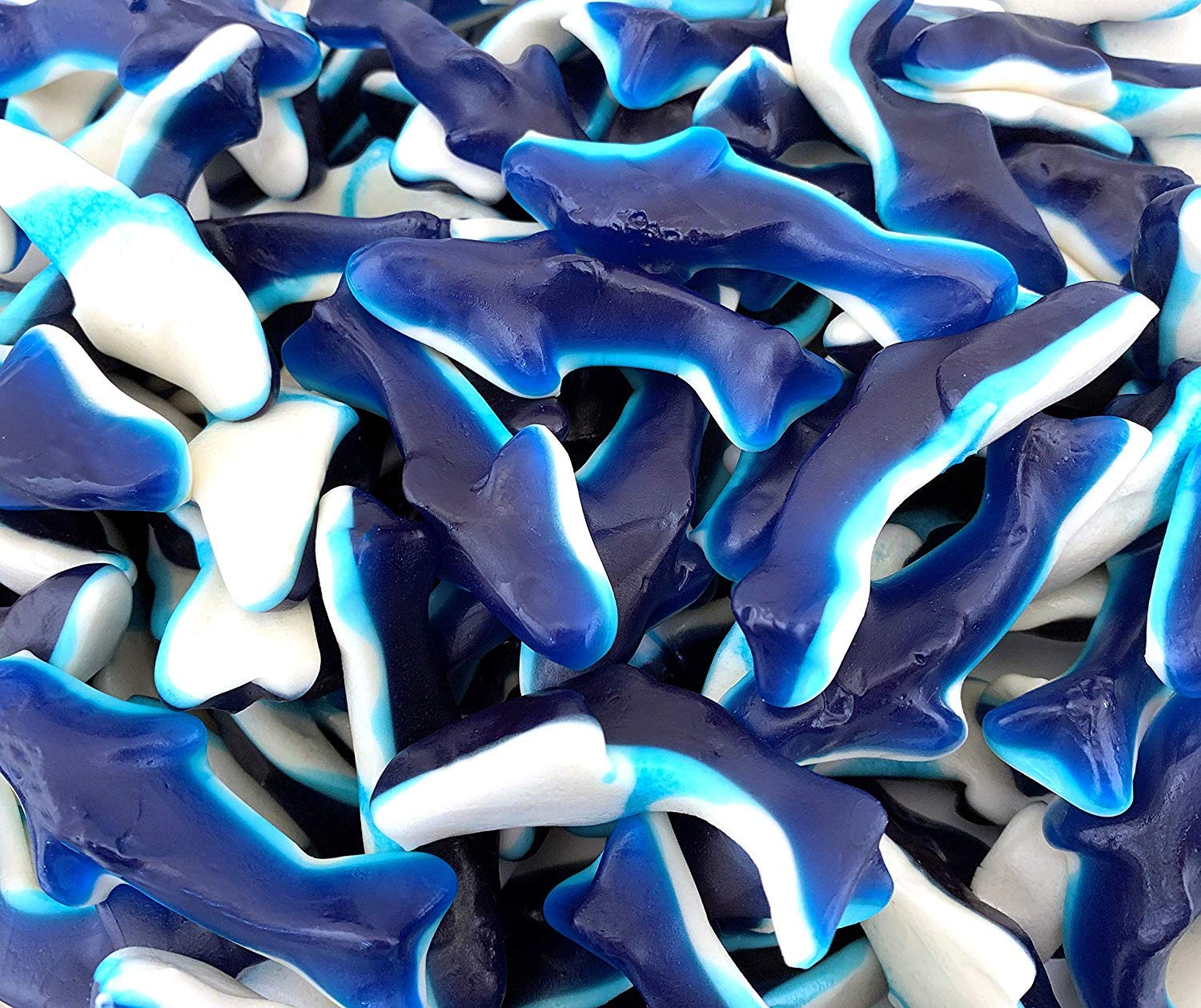 blue gummy sharks candy