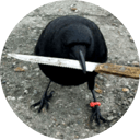 crow with knife crypto price prediction