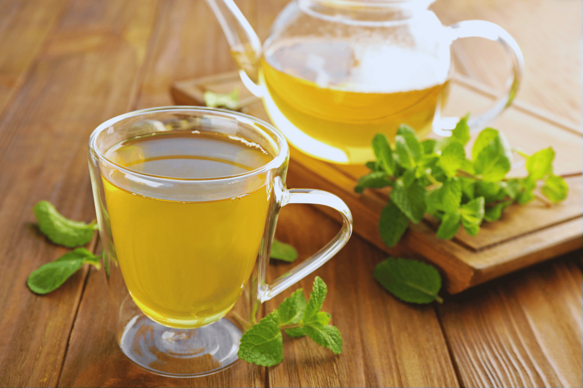 lemon balm recipe for weight loss 