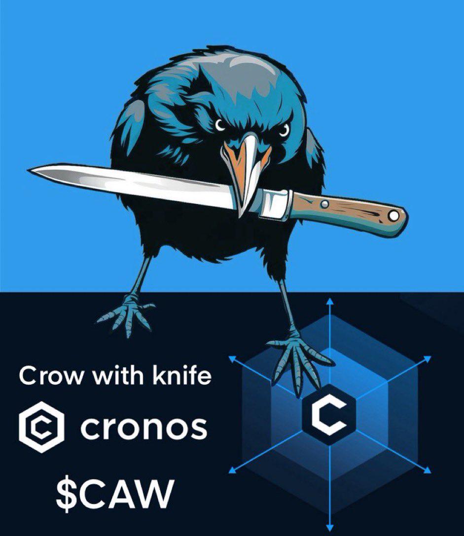 crow with knife crypto