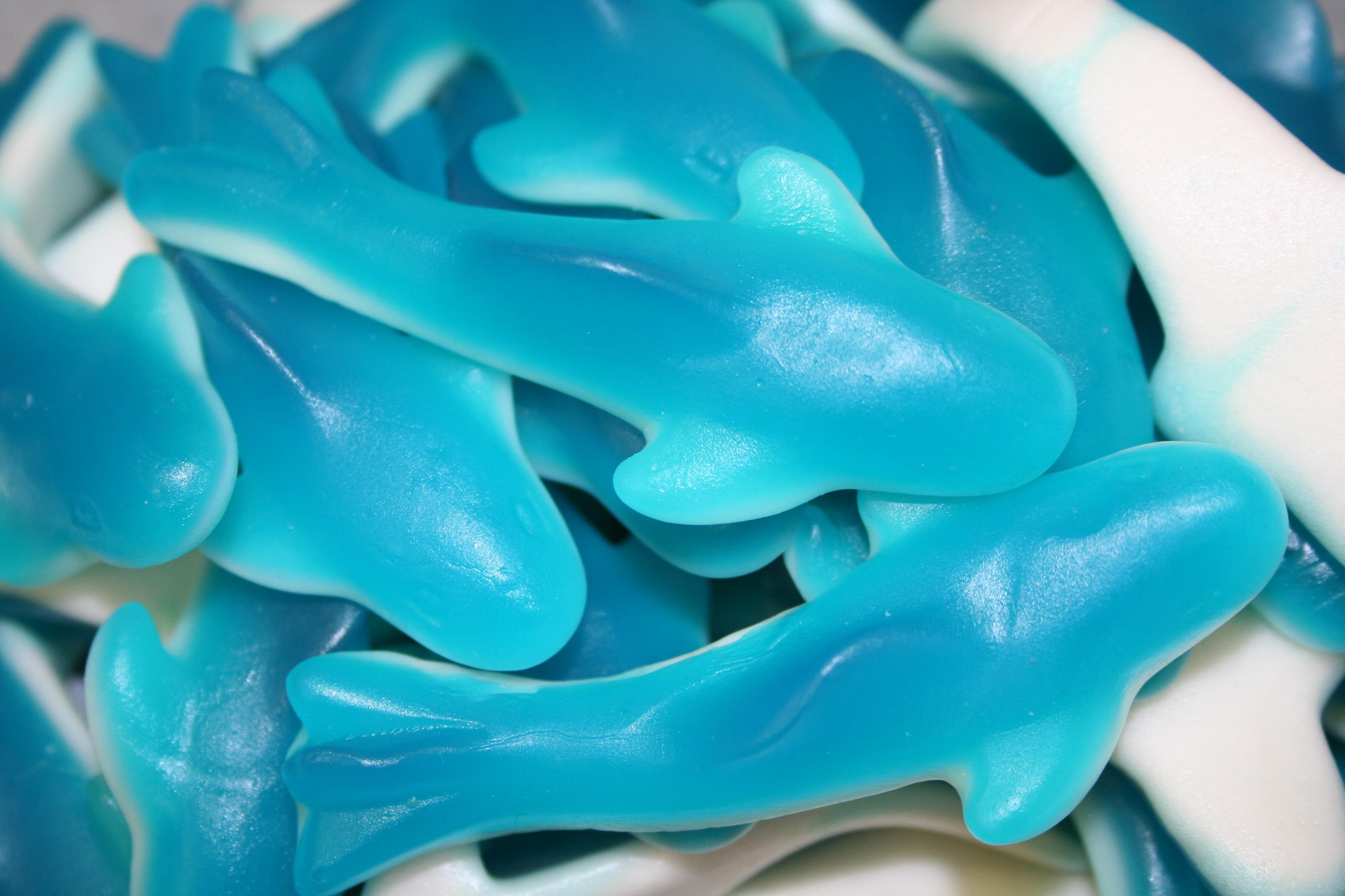 shark gummies