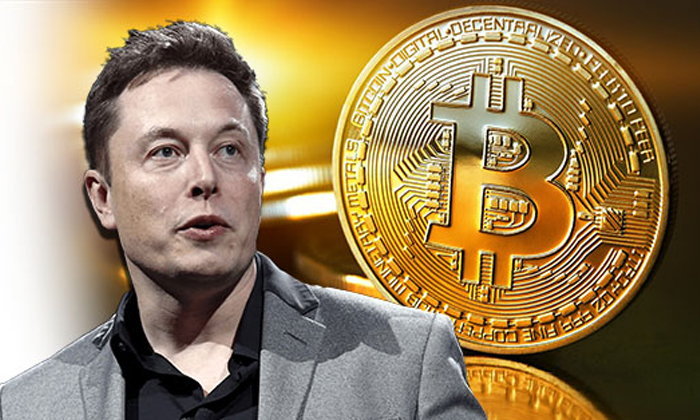 elon musk crypto currency