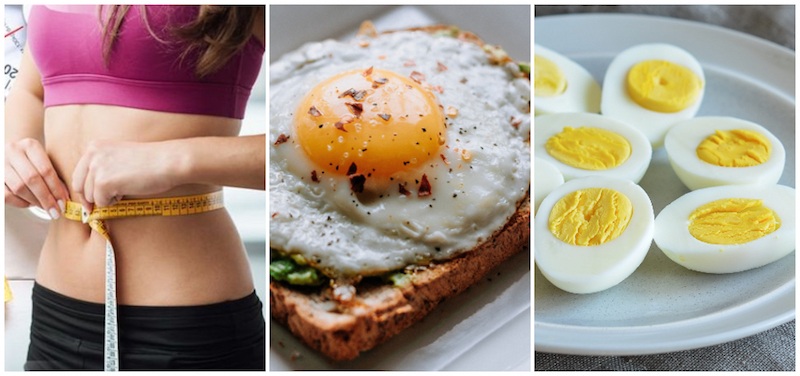 Eggs Good for Weight Loss? How Eating 2 Eggs a Day Can Help You Lose Up to  5 Pounds in 1 Week | soulful