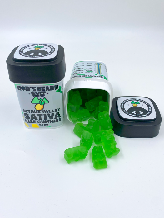 daily rise gummies review