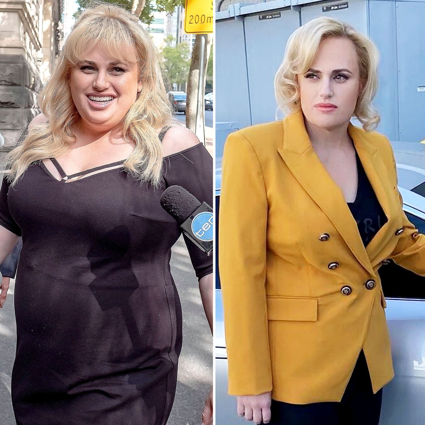 Rebel Wilson’s Inspiring Weight Loss Journey | gallatinyw