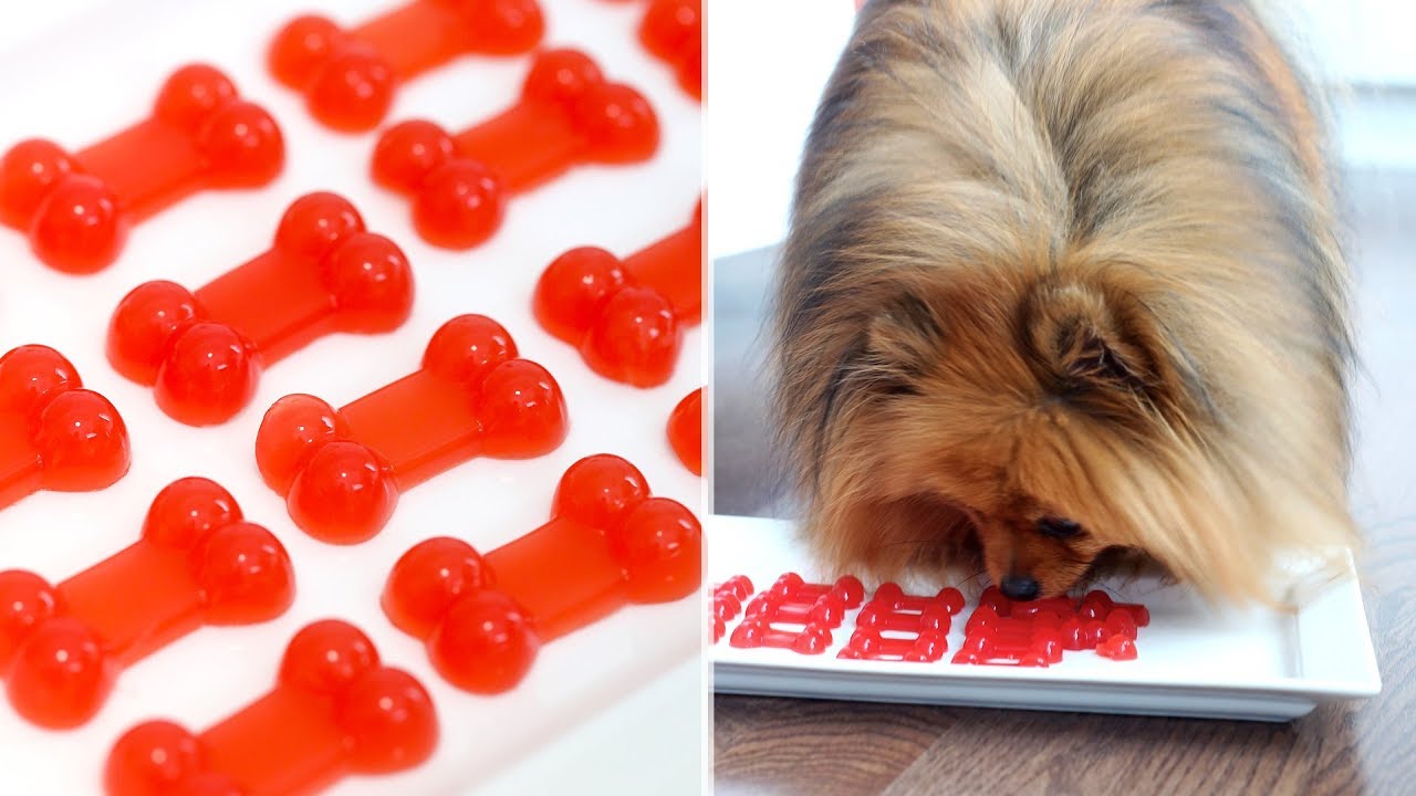 gummy bears for dogs