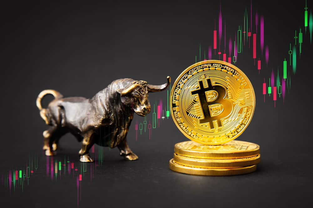 crypto bull run