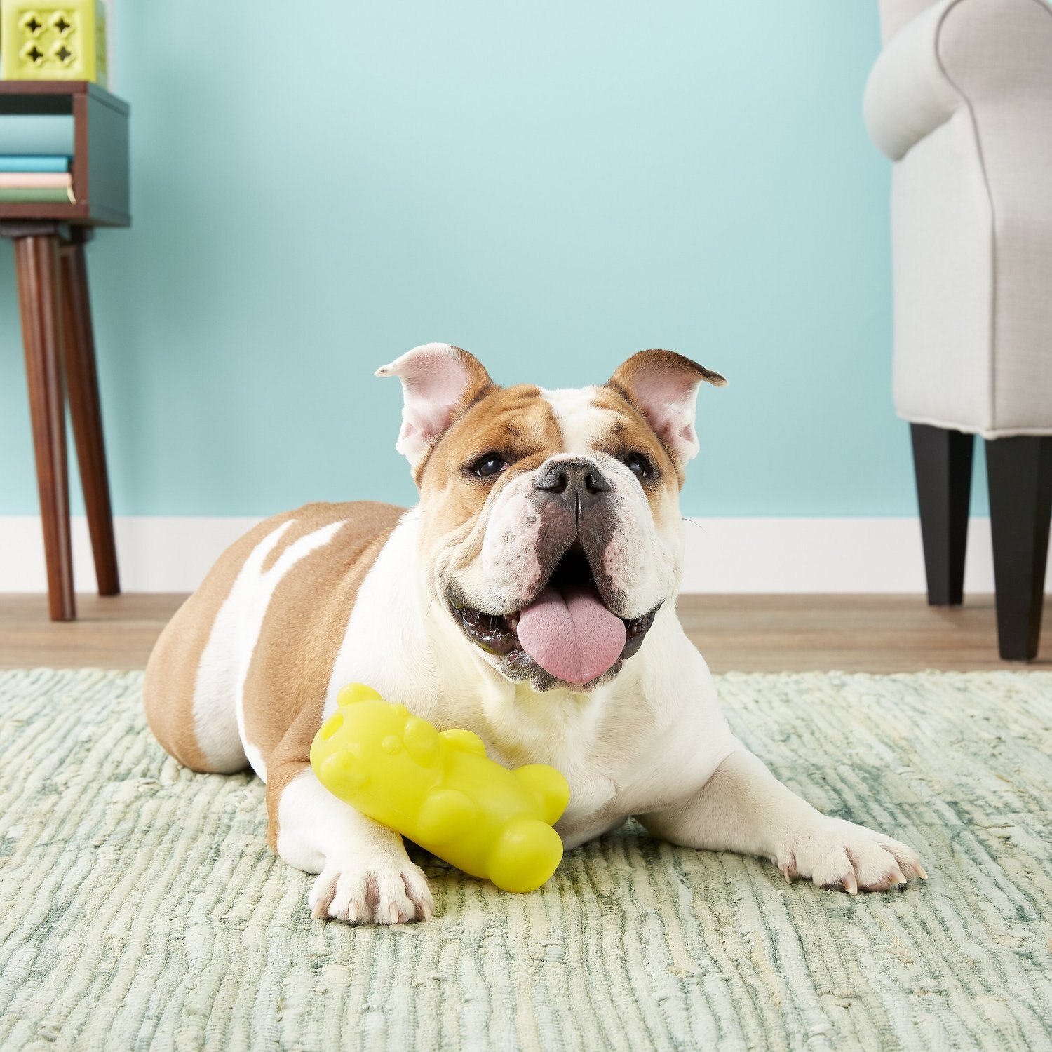 gummy bears for dogs