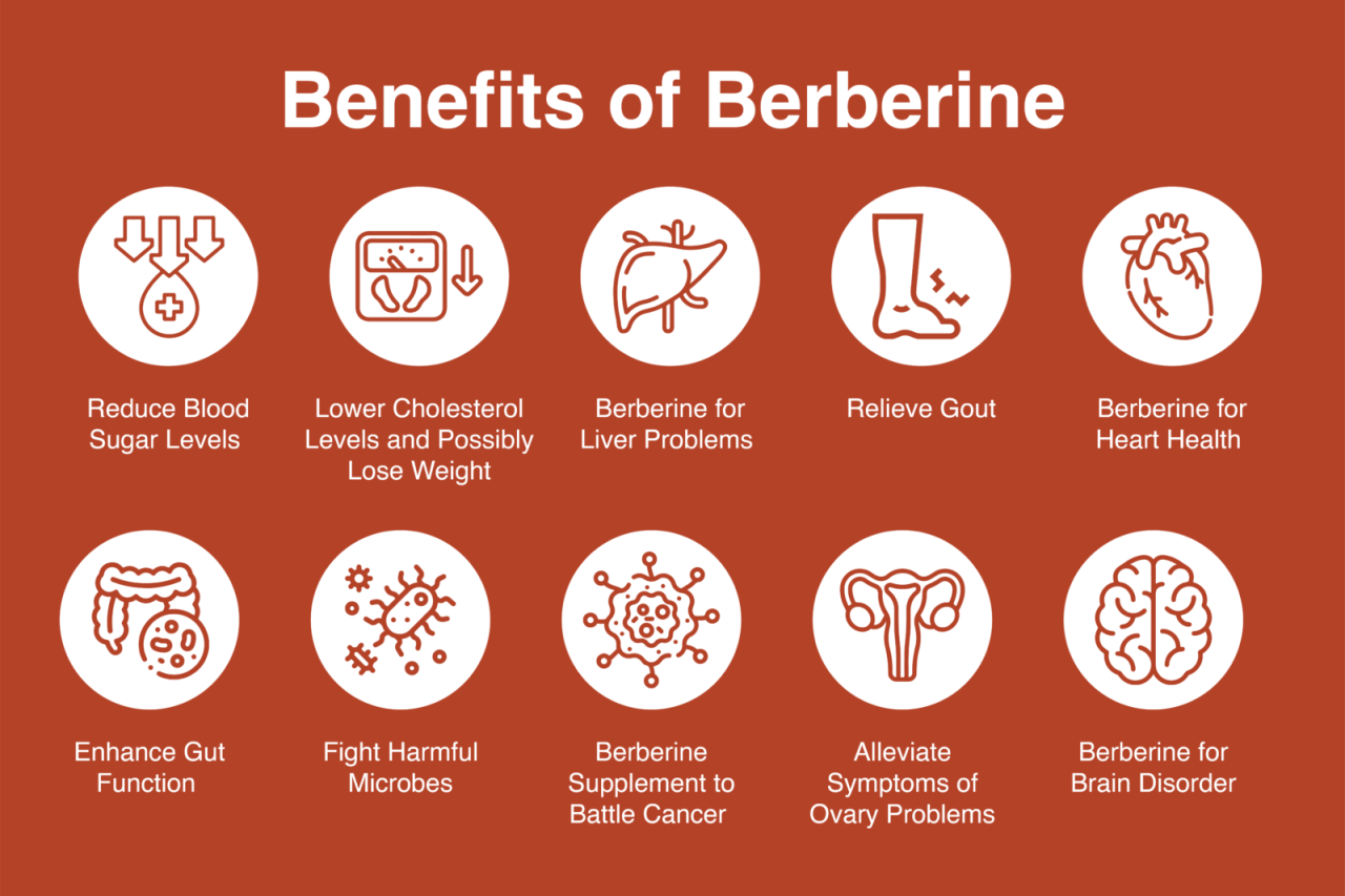 Berberine for Weight Loss: 4.5 lbs Average Loss But Is It Enough in 2026?