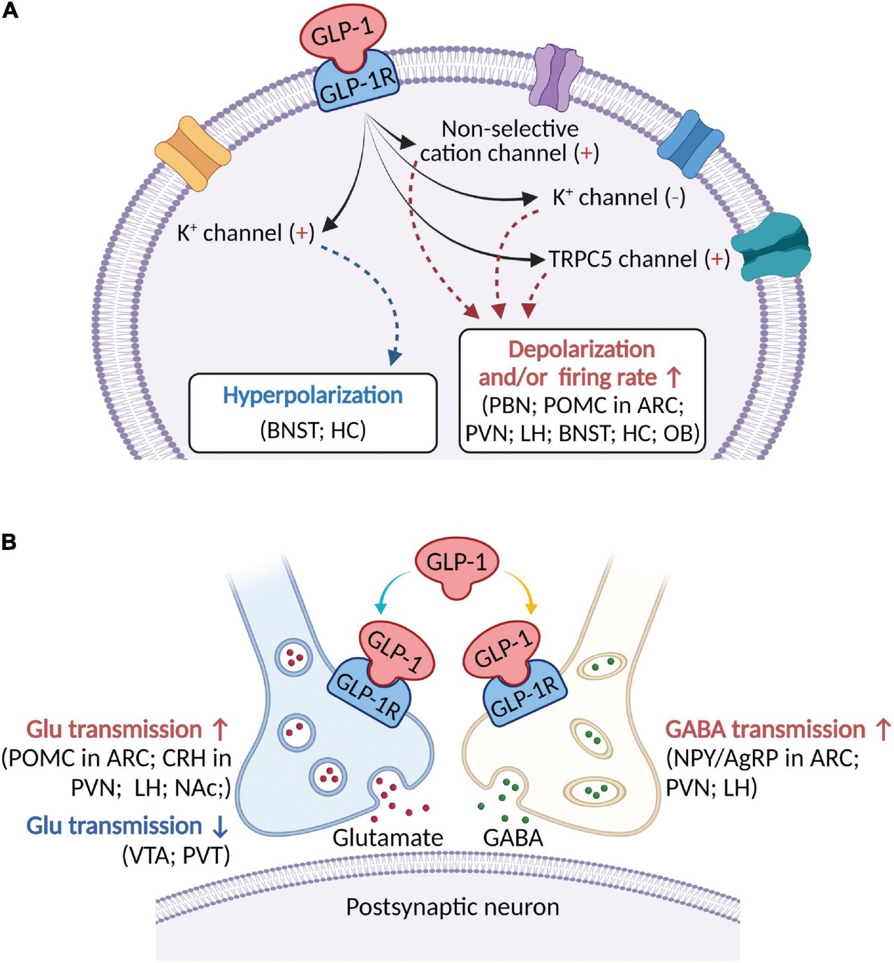 how does glp 1 quiet food noise What Is Noise, and Can GLP-1 Medications Finally It? Food noise: Why some people
