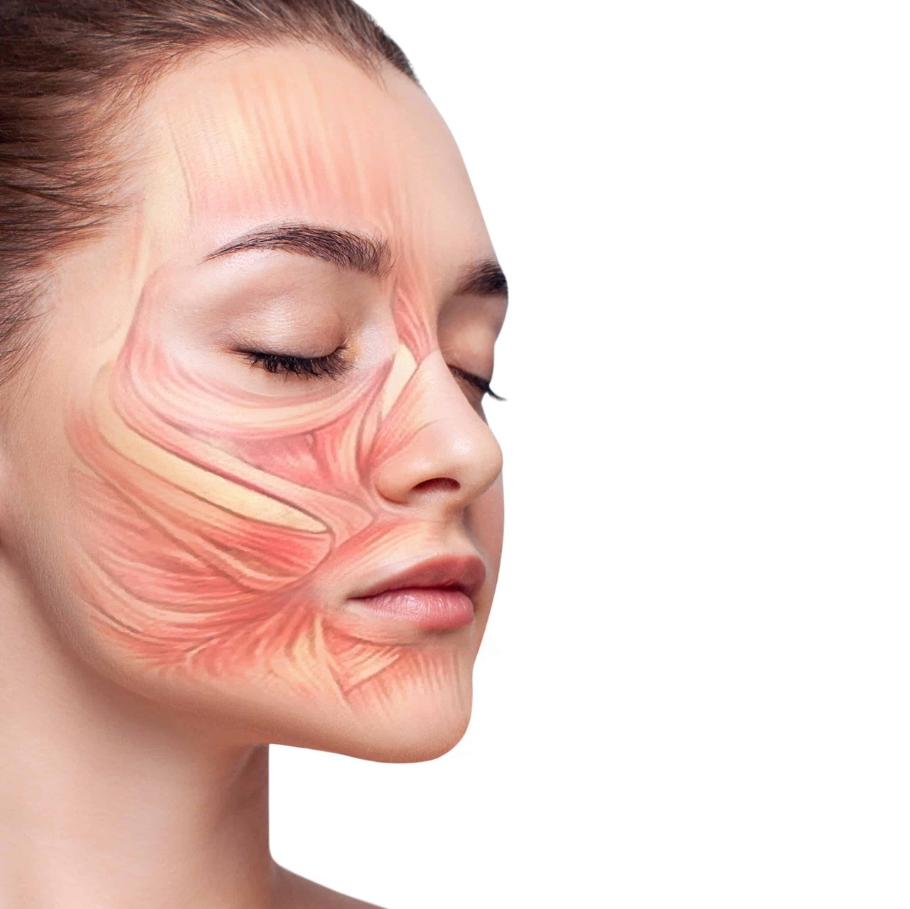 https://img.siterank.app/topic/facial-bloating-vs-fat.png