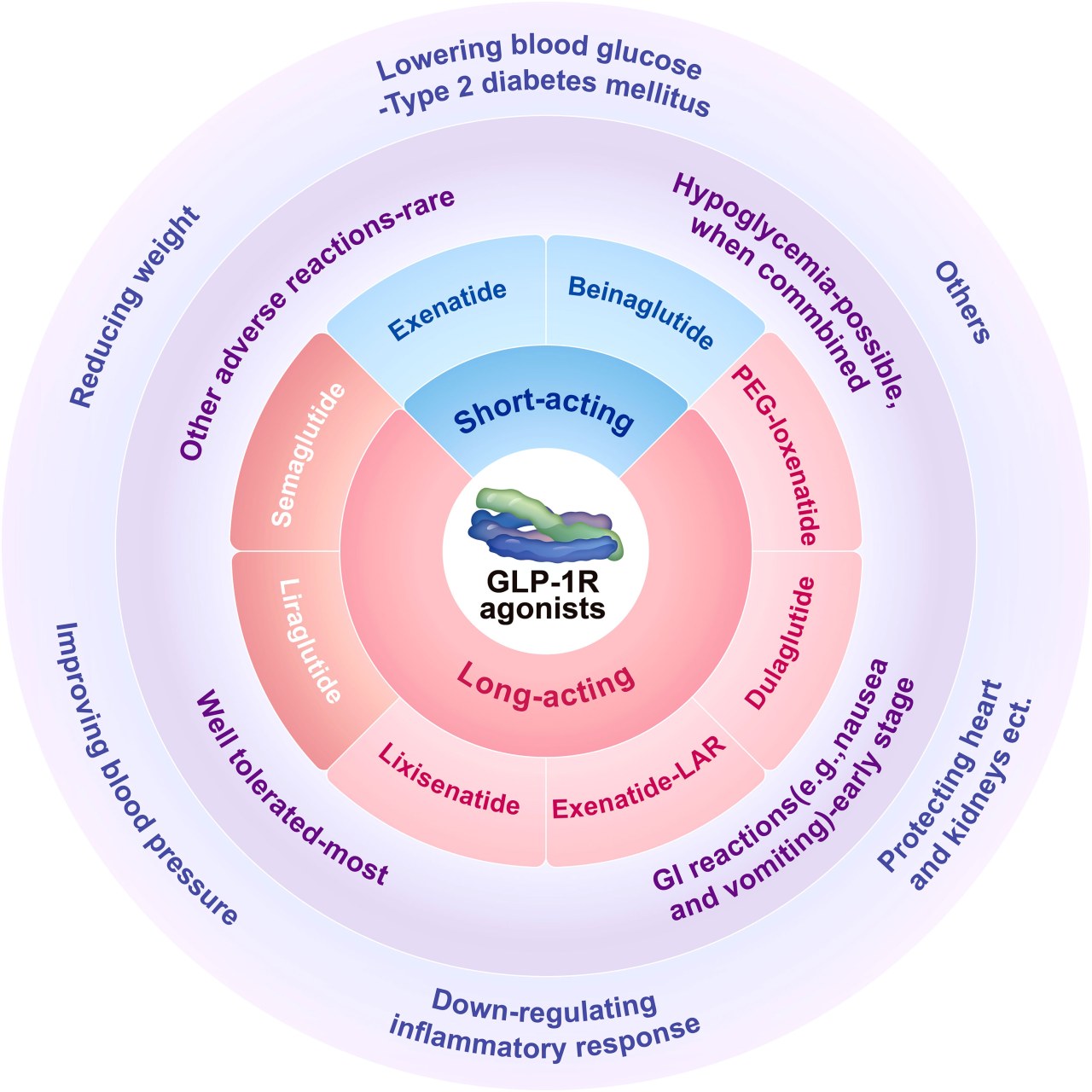 GLP-1 Companion Semaglutide Support: What Actually Works in 2026