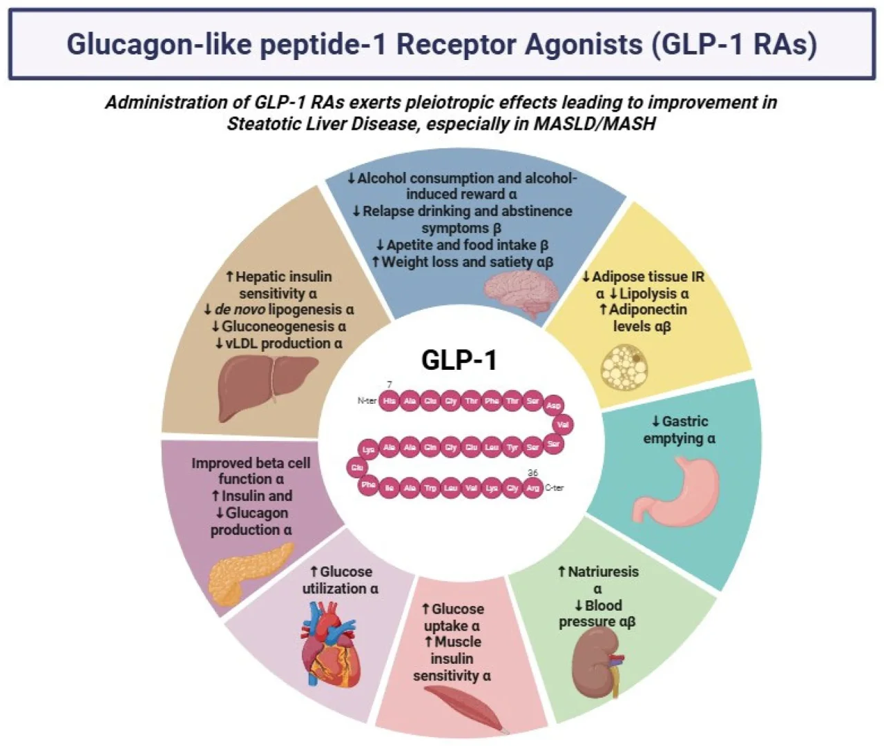 I Tested 5 So-Called “GLP-1 Patches” for 30 Days — Here's What Actually Happened