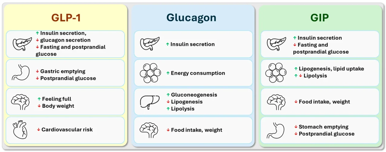 does oral semaglutide work as well as the injection (Rybelsus) vs Injections: What Works Best? Dosing:Low-Dose sugar free Retatrutide (10mg) | Peptide