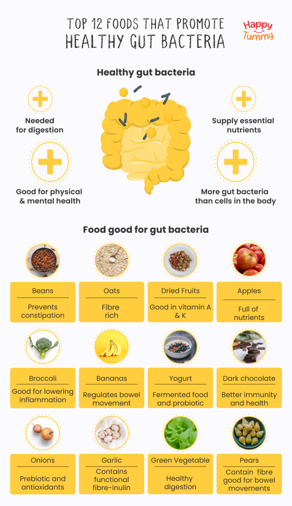 https://img.siterank.app/topic/gut-health-foods-overview.png