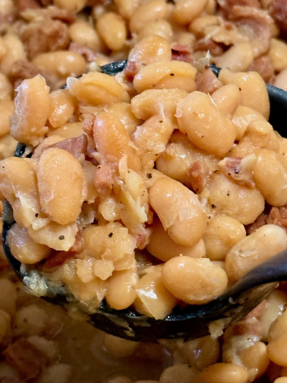 ham-and-beans-home-cooked-dish