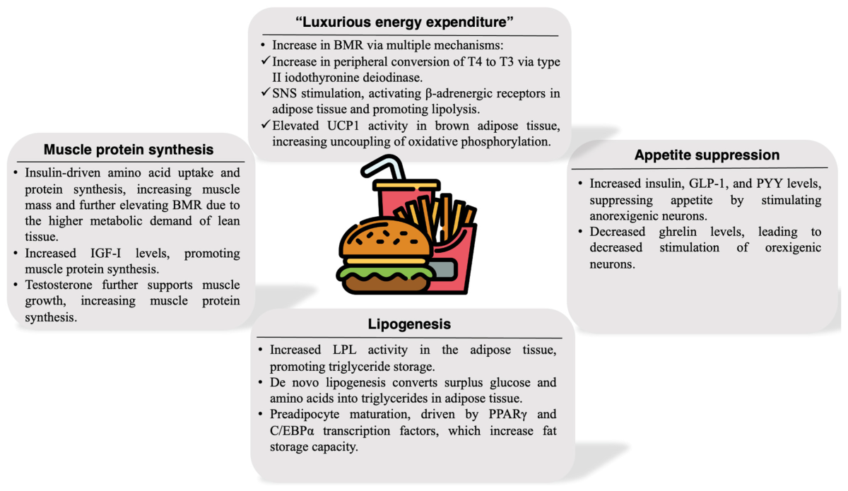 New Data on 1,200-Calorie Diets: Researchers Warn About the Hidden Role of  Metabolic Adaptation in Weight Loss Speed