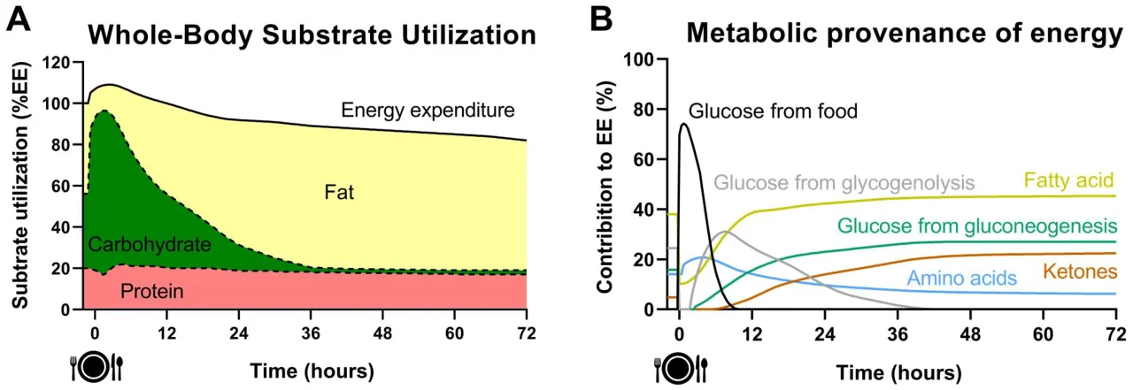 pendulum glp-1 reviews reddit Pendulum Metabolic Daily After 3 Months: Honest Changes in Gut Health, Energy, and Appetite (2026 Review)