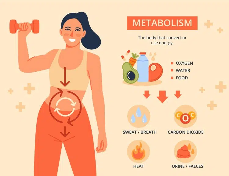 https://img.siterank.app/topic/metabolism-weight-loss-lifestyle.png
