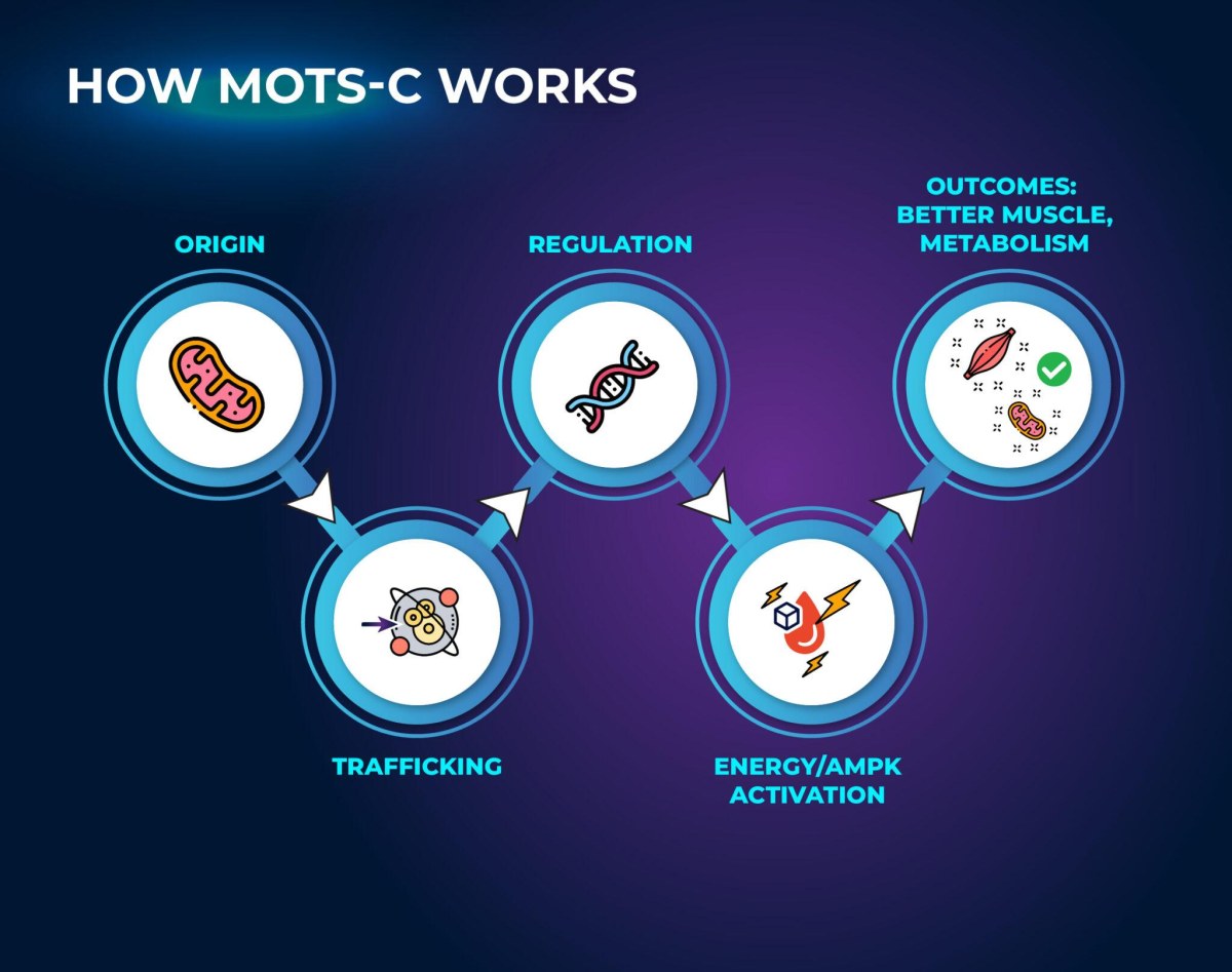MOTS-c Peptide Price: I Compared 9 Vendors and Found a $43 to $175 Range