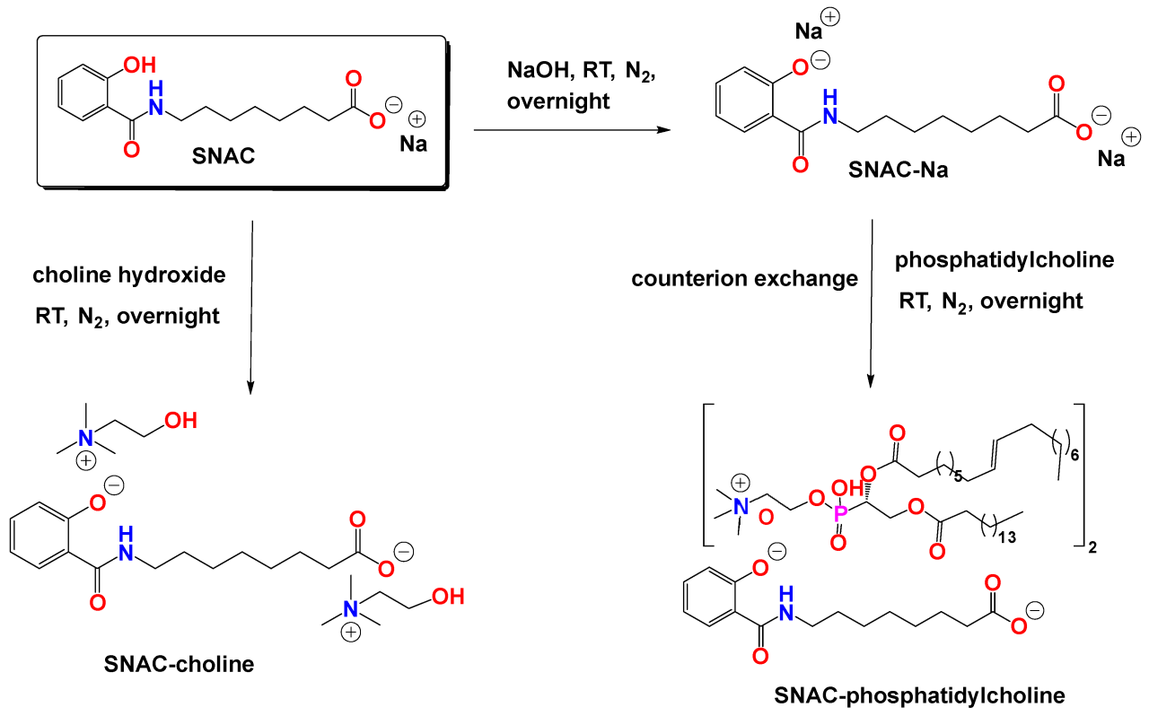 semaglutide elisa cross-reactivity liraglutide What I Learned from 9 Months on Liraglutide vs Semaglutide: A Pharmacist's Breakdown of Their Mechanisms