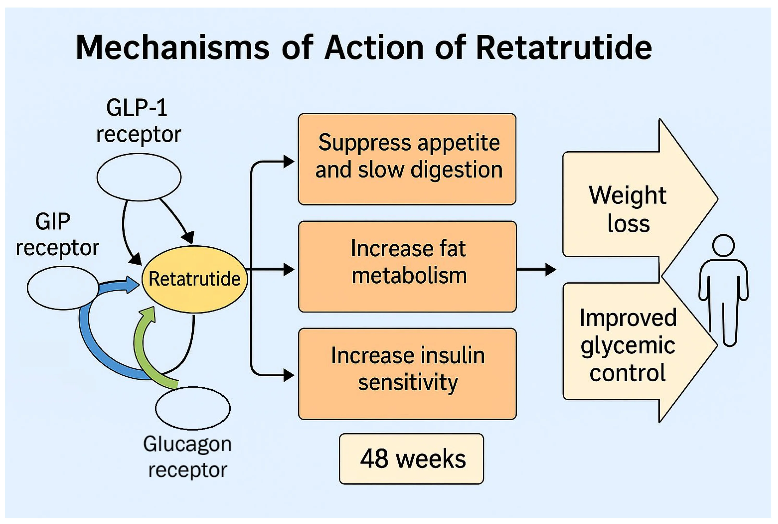 5 amino 1mq side effects reddit Winter 2026 Fat Loss Peptides for Women: What Really Happens to Your Body,  Hunger and Daily Routine? main image 0