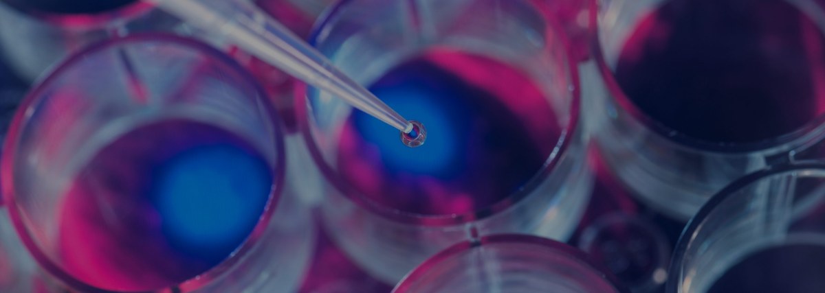 Peptides Fat Loss Research in 2026: Inside the Hype, the Hope, and the Hard  Parts Nobody Posts About