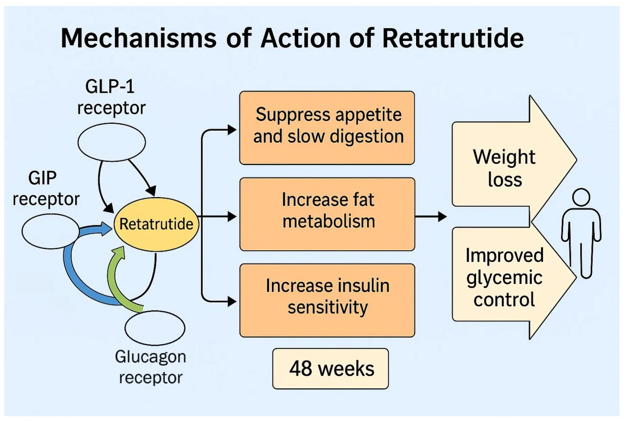 cagrilintide/semaglutide Cagrilintide: Molecular Structure and 5 Positive Research Applications 💊 Healthy GLP-1 swaps recover Size:Retatrutide 20mg
