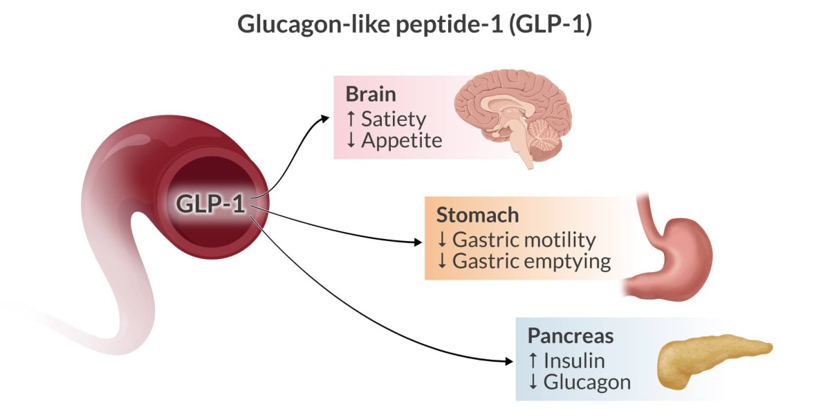 Best Glp-1 Supplement For Weight Loss Reviews Amazon.com: Lemme GLP-1 Daily, Clinically Studied Ingredients to Reduce Hunger & Cravings, Promote GLP-1 Production, Support Fat Loss and Weight Management, 1 Month Supply (60 Best Glp-1 Supplement For Weight Loss Reviews Amazon.com: Lemme GLP-1 Daily, Clinically Studied Ingredients to Reduce Hunger & Cravings, Promote GLP-1 Production, Support Fat Loss and Weight Management, 1 Month Supply (60