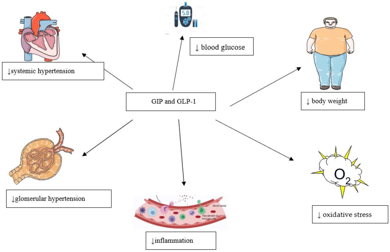 glp-1 receptor agonists brands list Patient education tips for GLP-1, weight loss drug treatment Supply Options:1 Month Supply Comprehensive Overview of GLP-1 collection_hormones
