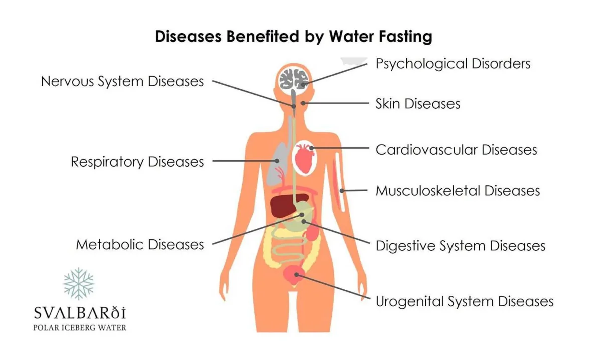 A New Study on 3Day Water Fasts Warns: Up to 80% of the Weight Loss May  Vanish Within Days