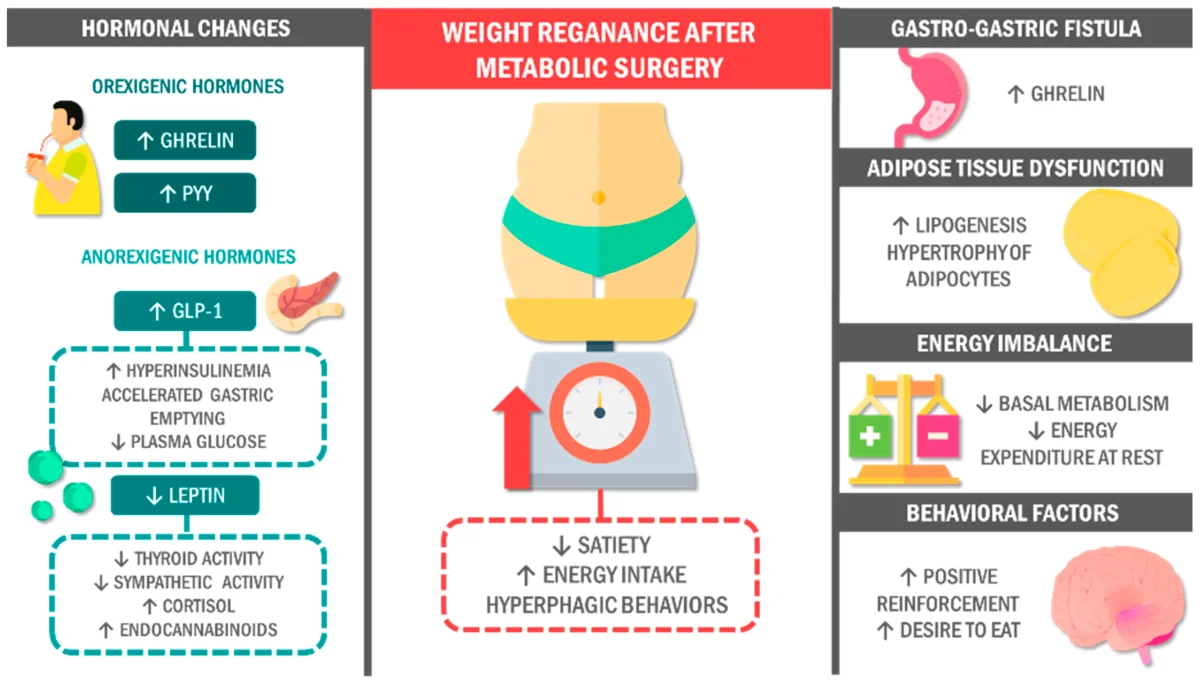 egg burps semaglutide Does Ozempic Cause Sulphur Burps? Evidence and Management