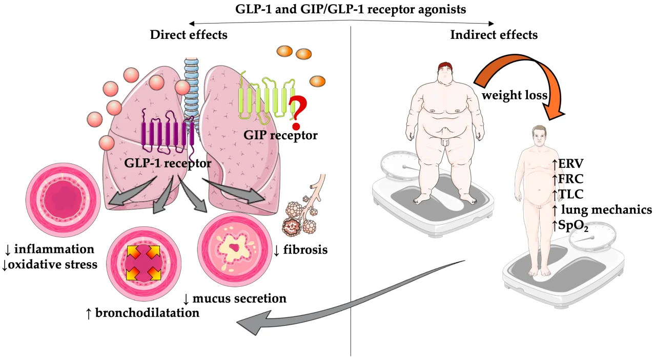 What Are GLP-1 Agonists and How Do They Revolutionize Metabolic Health?