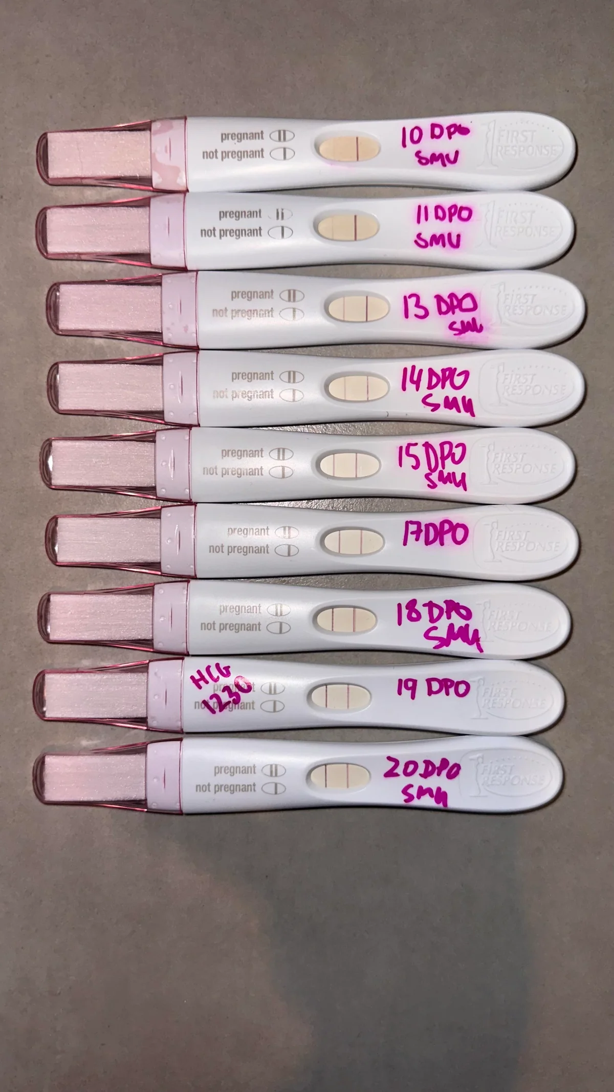 does l-carnitine burn belly fat Which Drink Burns Belly Fat? I Tested 7 Options for 6 Weeks (2026 Results)